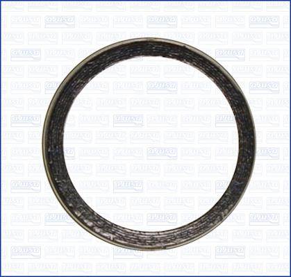 Ajusa 19006200 - Уплотнительное кольцо, труба выхлопного газа autodif.ru