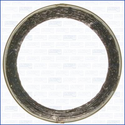 Ajusa 19001500 - Уплотнительное кольцо, труба выхлопного газа autodif.ru