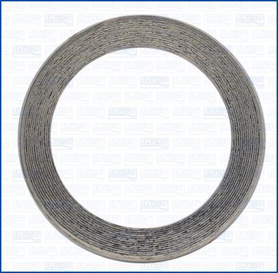 Ajusa 19008200 - Уплотнительное кольцо, труба выхлопного газа autodif.ru