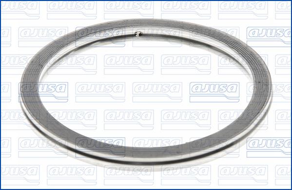 Ajusa 19002500 - Уплотнительное кольцо, труба выхлопного газа autodif.ru