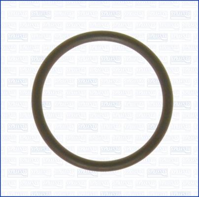 Ajusa 16023400 - Уплотнительное кольцо, трубка охлаждающей жидкости autodif.ru