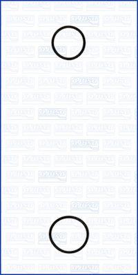 Ajusa 77001900 - Комплект прокладок, водяной насоc autodif.ru