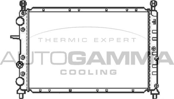 Autogamma 100017 - Радиатор, охлаждение двигателя autodif.ru