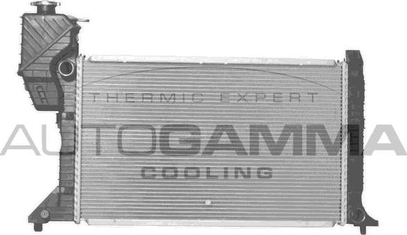 Autogamma 101323 - Радиатор, охлаждение двигателя autodif.ru