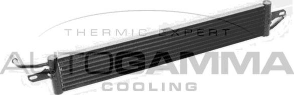 Autogamma 107688 - Радиатор, охлаждение двигателя autodif.ru