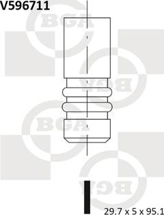 BGA V596711 - Впускной клапан autodif.ru