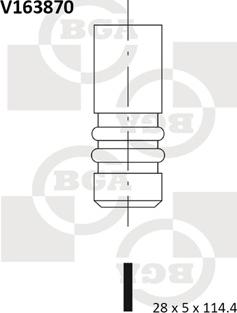 BGA V163870 - Впускной клапан autodif.ru