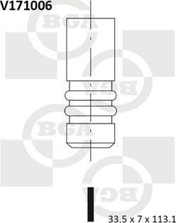 BGA V171006 - Впускной клапан autodif.ru