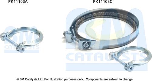 BM Catalysts FK11103 - Монтажный комплект, сажевый / частичный фильтр autodif.ru