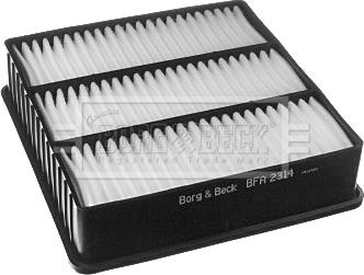 Borg & Beck BFA2314 - Воздушный фильтр, двигатель autodif.ru