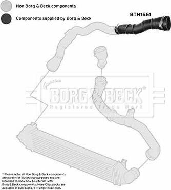 Borg & Beck BTH1561 - Трубка, нагнетание воздуха autodif.ru