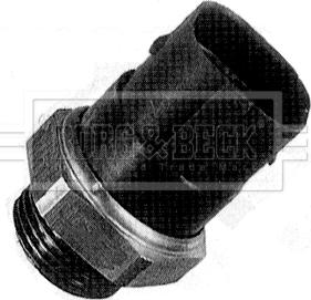 Borg & Beck BTS894.95 - Термовыключатель, вентилятор радиатора / кондиционера autodif.ru