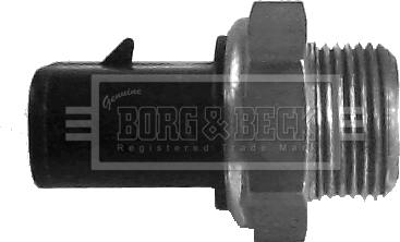 Borg & Beck BTS807.99 - Термовыключатель, вентилятор радиатора / кондиционера autodif.ru