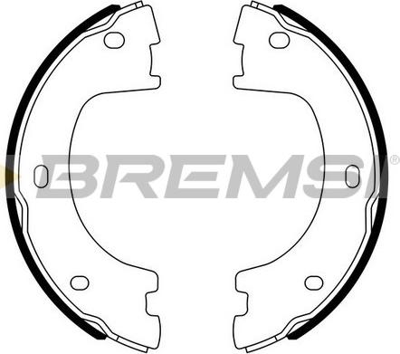 Bremsi GF0560 - Комплект тормозов, ручник, парковка autodif.ru