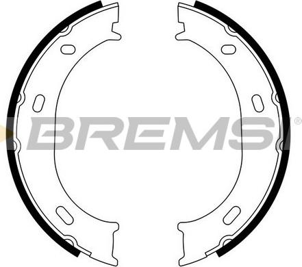 Bremsi GF0306 - Комплект тормозов, ручник, парковка autodif.ru