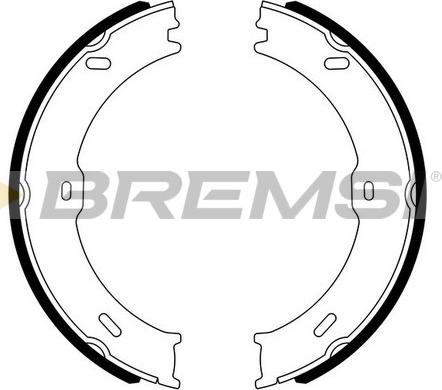 Bremsi GF0315 - Комплект тормозов, ручник, парковка autodif.ru