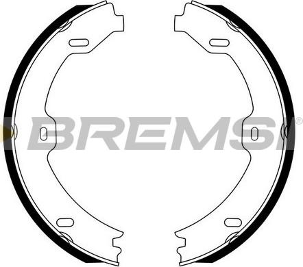 Bremsi GF0312 - Комплект тормозов, ручник, парковка autodif.ru