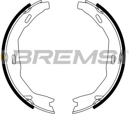 Bremsi GF0317 - Комплект тормозов, ручник, парковка autodif.ru