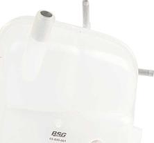 BSG BSG 65-550-001 - Компенсационный бак, охлаждающая жидкость autodif.ru