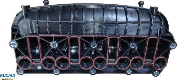 Bugiad BIM17023 - Впускная труба, подвод воздуха autodif.ru