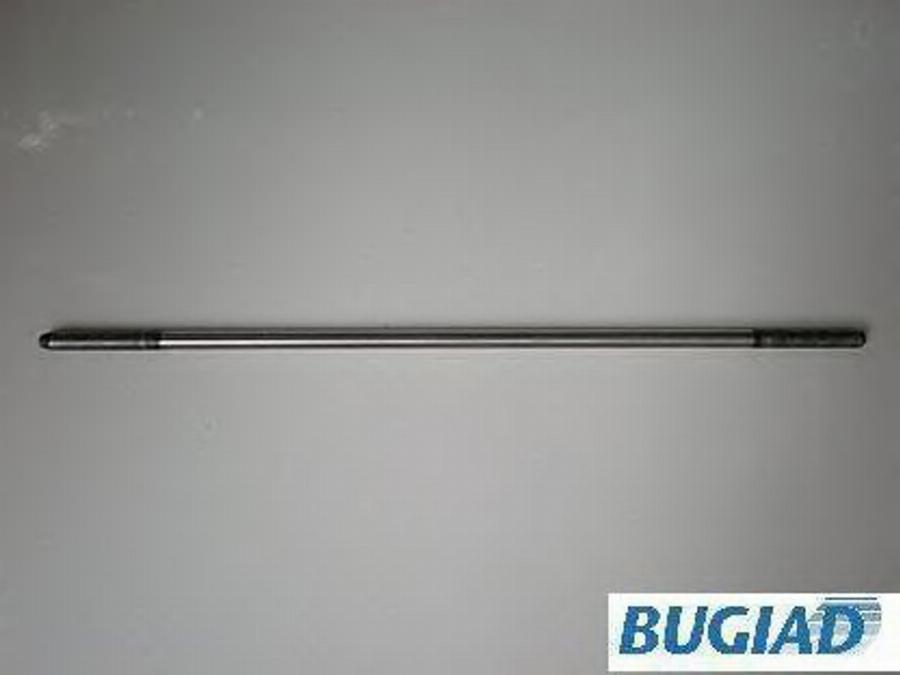 Bugiad BSP20420 - Центральный выключатель, система сцепления autodif.ru