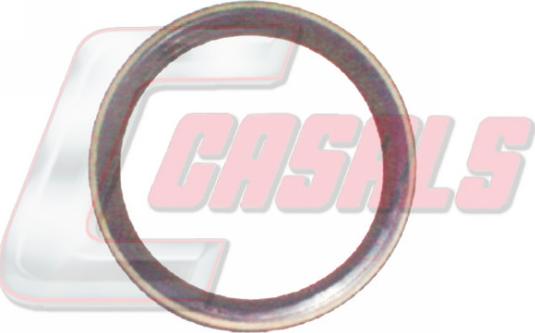 Casals 20216 - Уплотняющее кольцо, сальник, ступица колеса autodif.ru