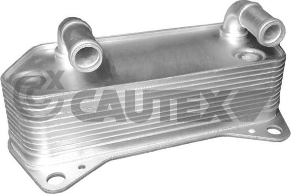 Cautex 462519 - Масляный радиатор, двигательное масло autodif.ru
