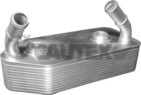 Cautex 462521 - Масляный радиатор, двигательное масло autodif.ru