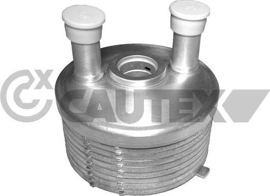 Cautex 462523 - Масляный радиатор, двигательное масло autodif.ru