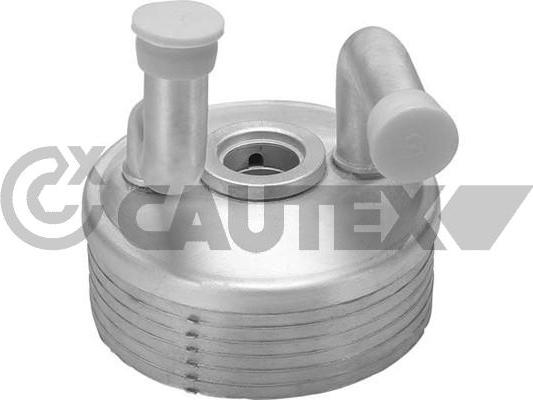 Cautex 462522 - Масляный радиатор, двигательное масло autodif.ru