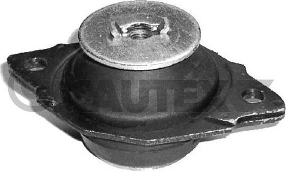 Cautex 010874 - Подушка, опора, подвеска двигателя autodif.ru