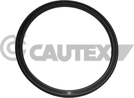 Cautex 751979 - Уплотнительное кольцо, трубка нагнетаемого воздуха autodif.ru