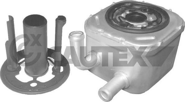 Cautex 751719 - Масляный радиатор, двигательное масло autodif.ru