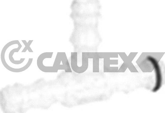Cautex 767161 - Адаптер, водяной насос омывателя autodif.ru
