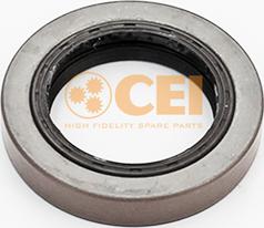 C.E.I. 139.809 - Уплотняющее кольцо, дифференциал autodif.ru