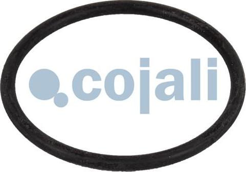 Cojali 6012160 - Ремкомплект клапана ограничения давления  MAN autodif.ru