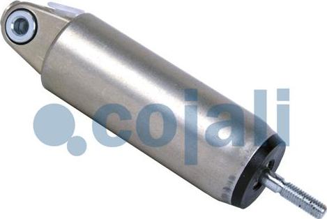 Cojali 2880118 - Рабочий цилиндр, моторный тормоз autodif.ru