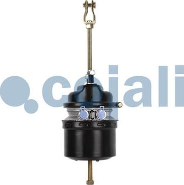 Cojali 2251506 - Тормозной цилиндр с пружинным энергоаккумулятором autodif.ru