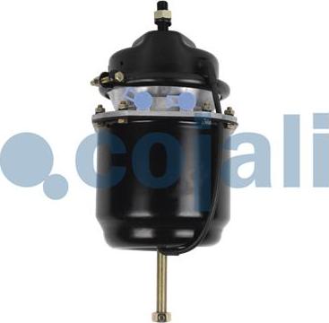 Cojali 2251515 - Тормозной цилиндр с пружинным энергоаккумулятором autodif.ru