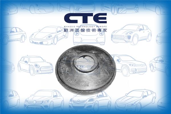 CTE CBH19001 - Сайлентблок, рычаг подвески колеса autodif.ru