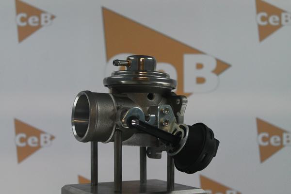 DA SILVA GR6041 - Клапан возврата ОГ autodif.ru