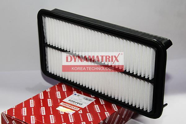 Dynamatrix DAF809 - Воздушный фильтр, двигатель autodif.ru