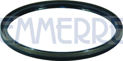 Emmerre 101519 - Уплотняющее кольцо, дифференциал autodif.ru