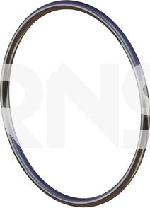ERNST 491716 - Уплотнительное кольцо, труба выхлопного газа autodif.ru