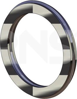 ERNST 493123 - Уплотнительное кольцо, труба выхлопного газа autodif.ru