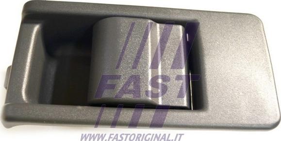 Fast FT94434 - Ручка двери autodif.ru