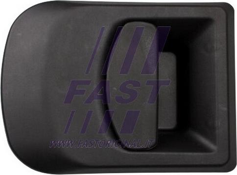 Fast FT94515 - Ручка двери autodif.ru