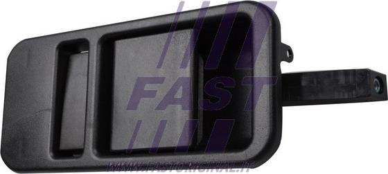 Fast FT94534 - Ручка двери autodif.ru