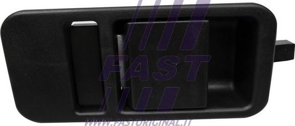 Fast FT94530 - Ручка двери autodif.ru