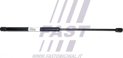 Fast FT94833 - Газовая пружина, упор autodif.ru